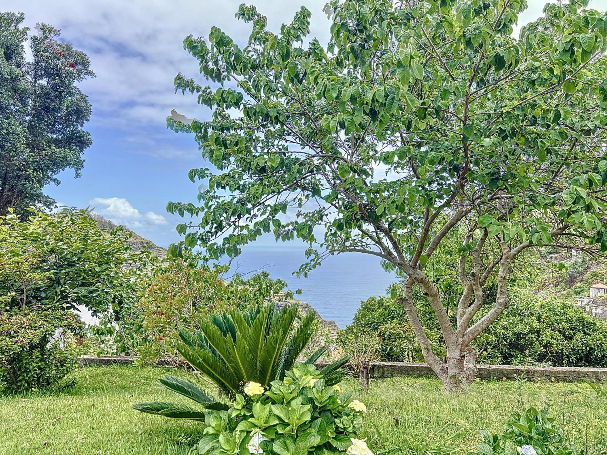 Quinta Do Serrado II Ribeira da Janela Екстериор снимка