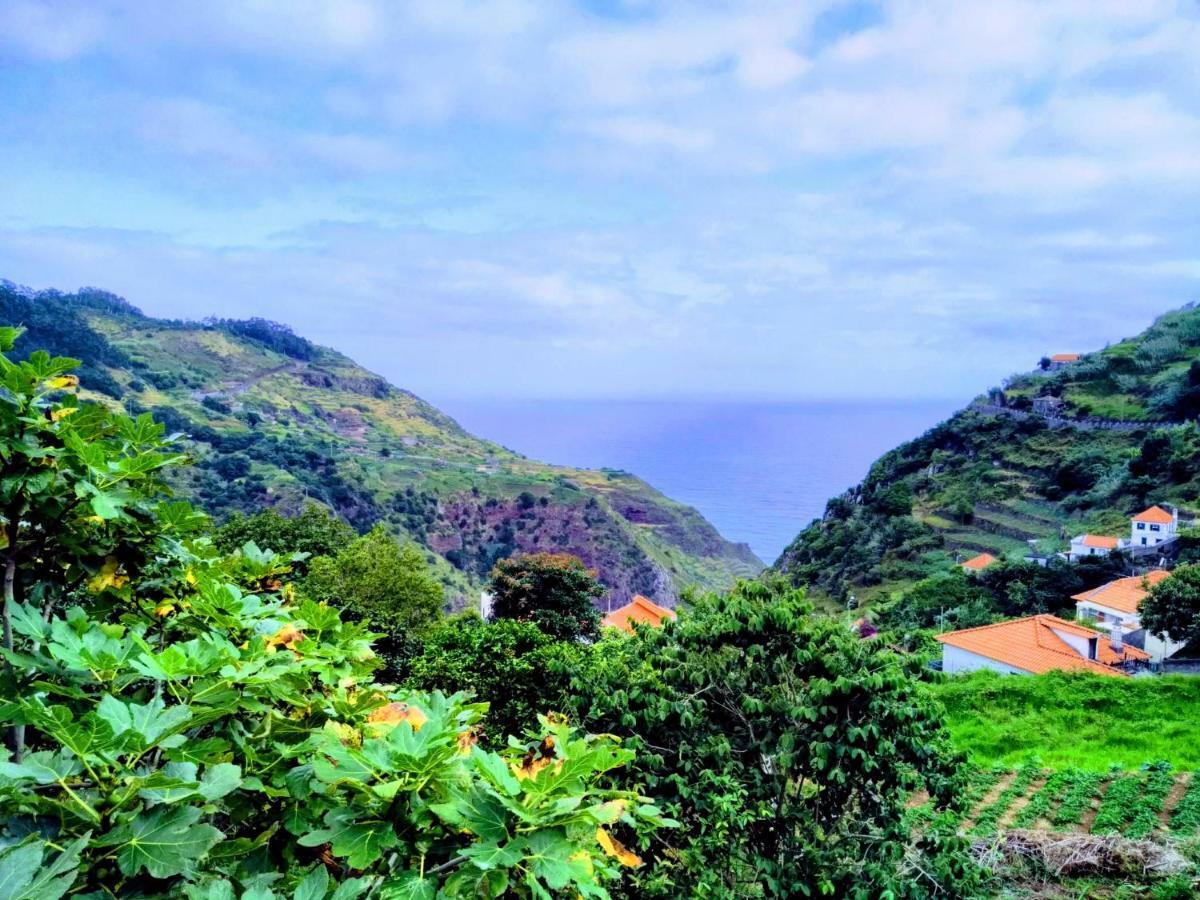 Quinta Do Serrado II Ribeira da Janela Екстериор снимка